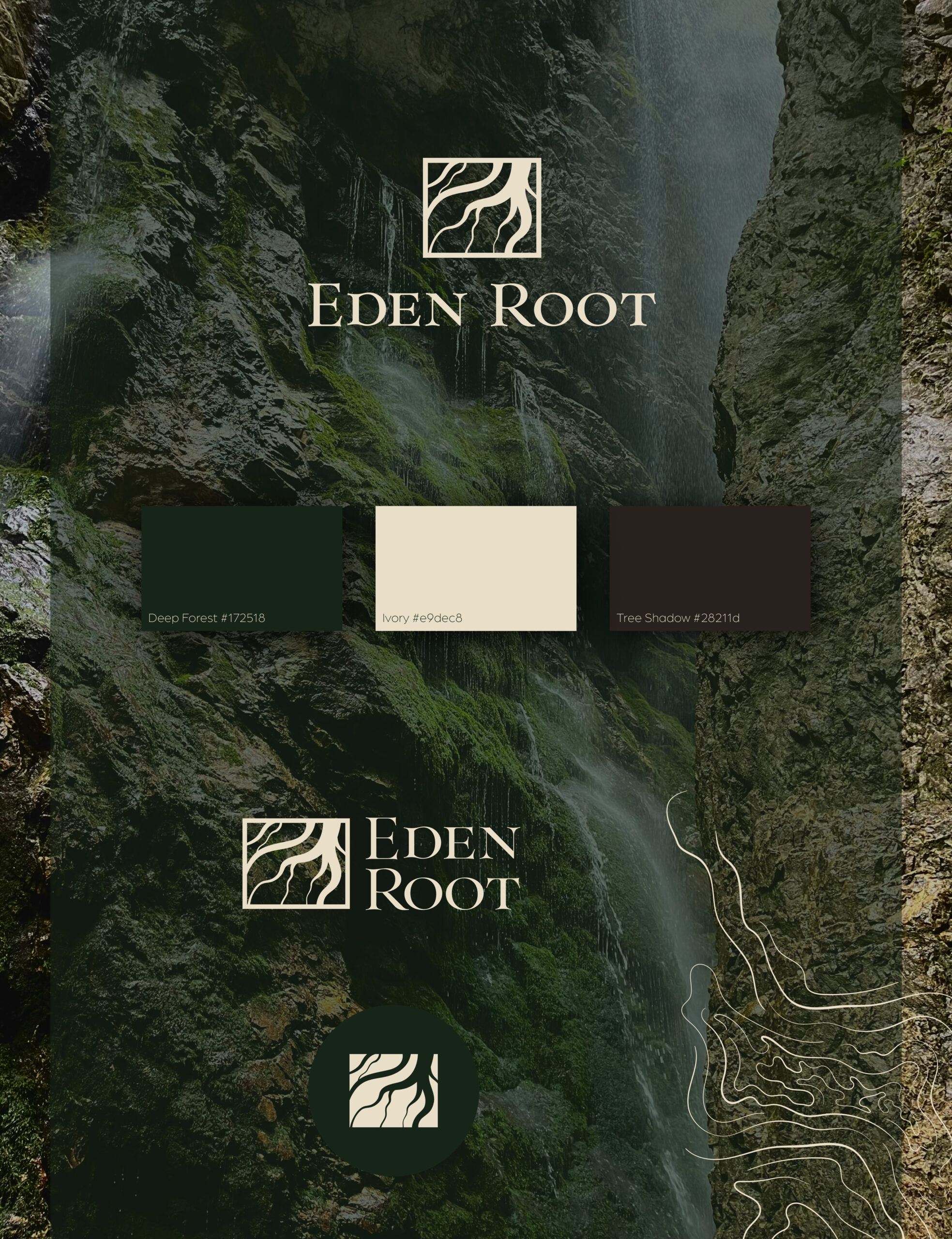 Eden root Brand kit Brand kit — logo variations, color palette, and graphic elements for an organic beauty brand.